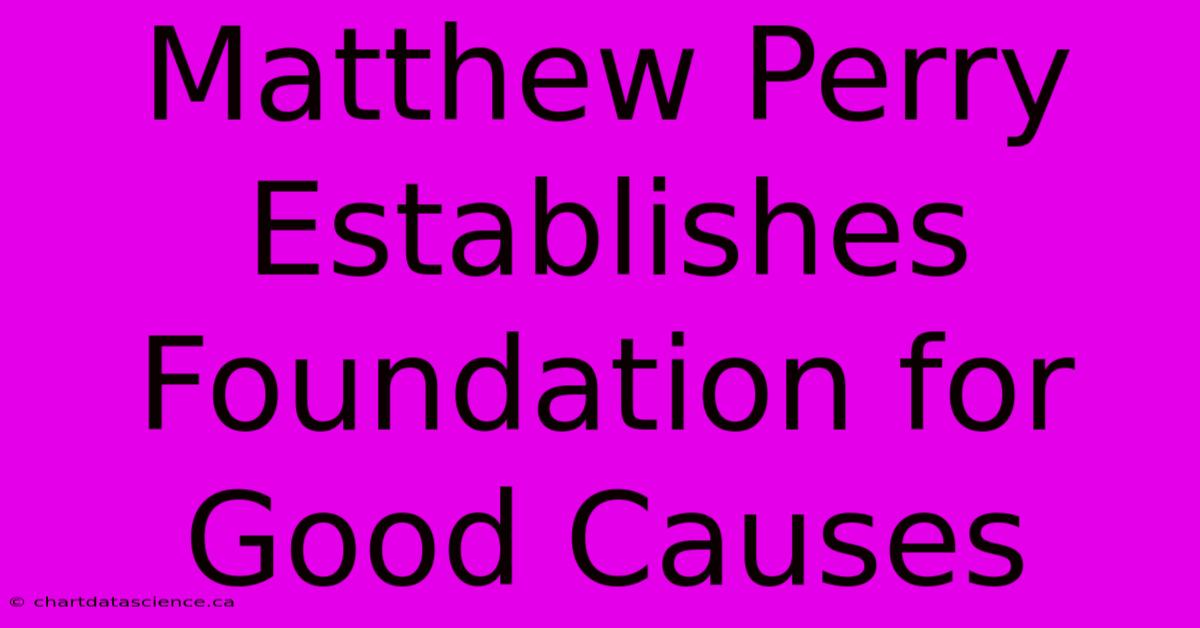 Matthew Perry Establishes Foundation For Good Causes 