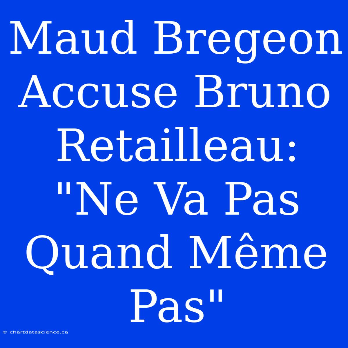 Maud Bregeon Accuse Bruno Retailleau: 