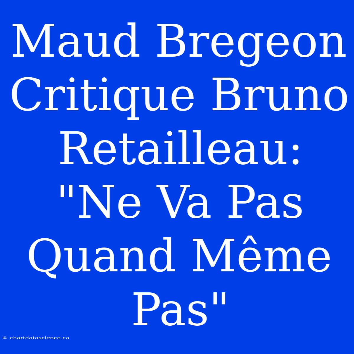 Maud Bregeon Critique Bruno Retailleau: 