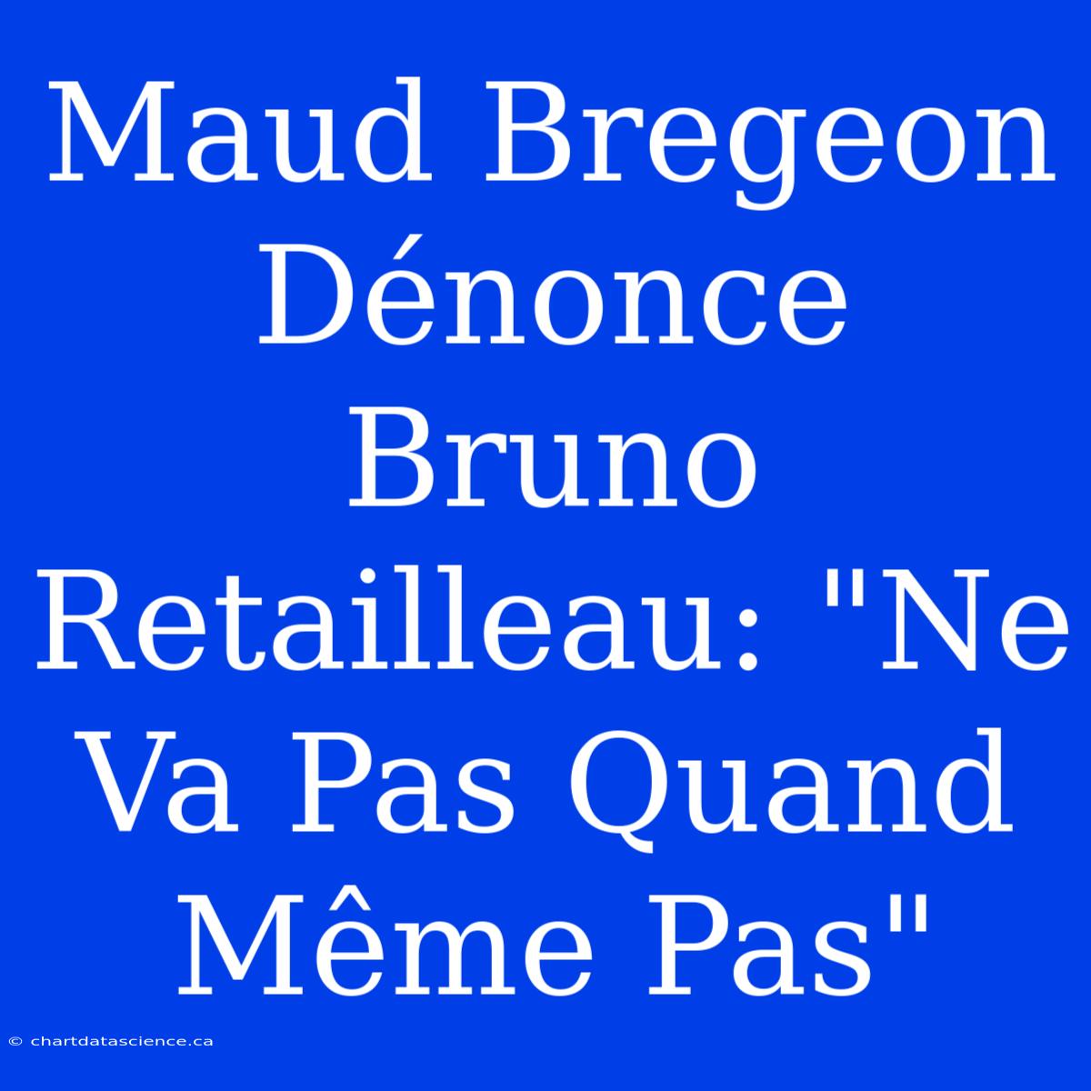 Maud Bregeon Dénonce Bruno Retailleau: 