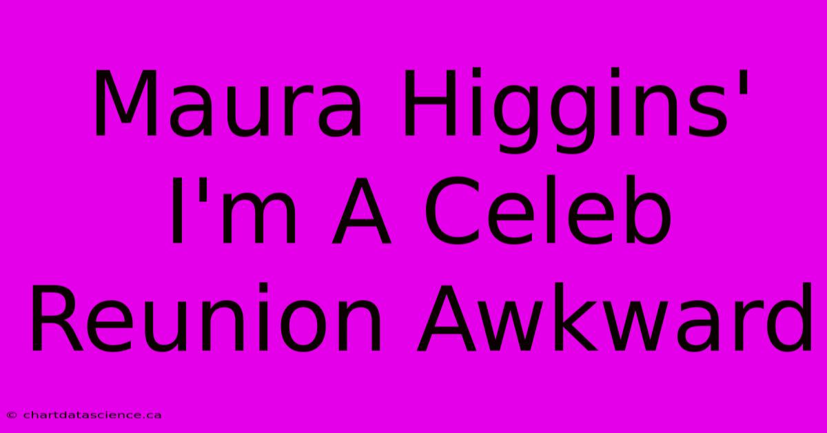 Maura Higgins' I'm A Celeb Reunion Awkward