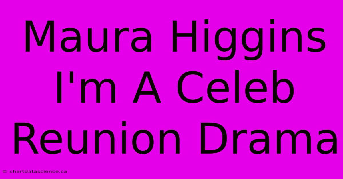 Maura Higgins I'm A Celeb Reunion Drama