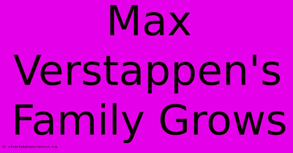 Max Verstappen's Family Grows