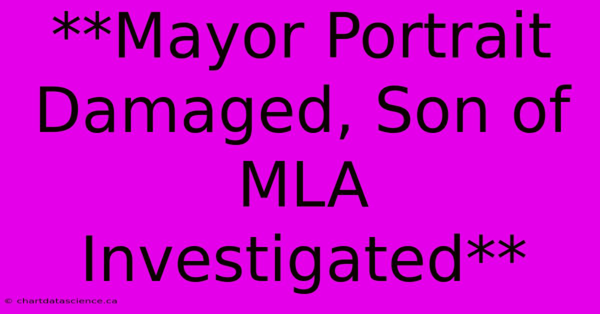 **Mayor Portrait Damaged, Son Of MLA Investigated**