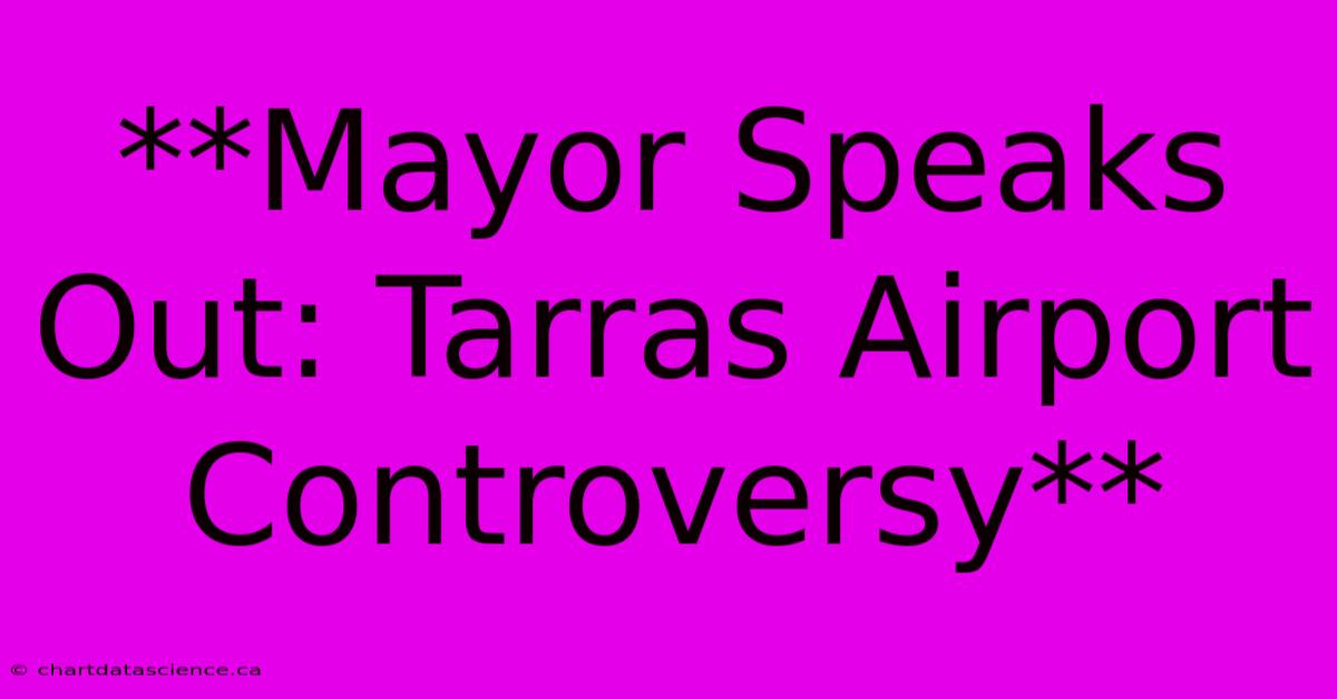 **Mayor Speaks Out: Tarras Airport Controversy**