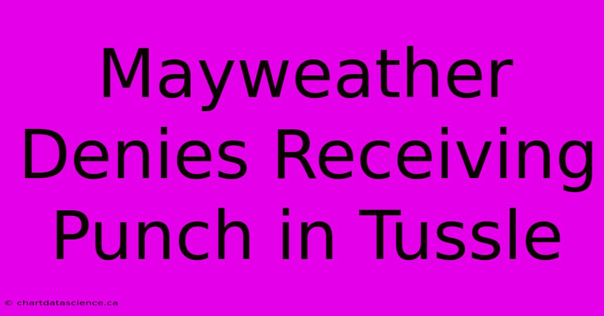 Mayweather Denies Receiving Punch In Tussle