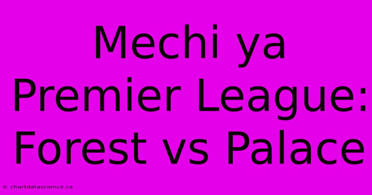 Mechi Ya Premier League: Forest Vs Palace