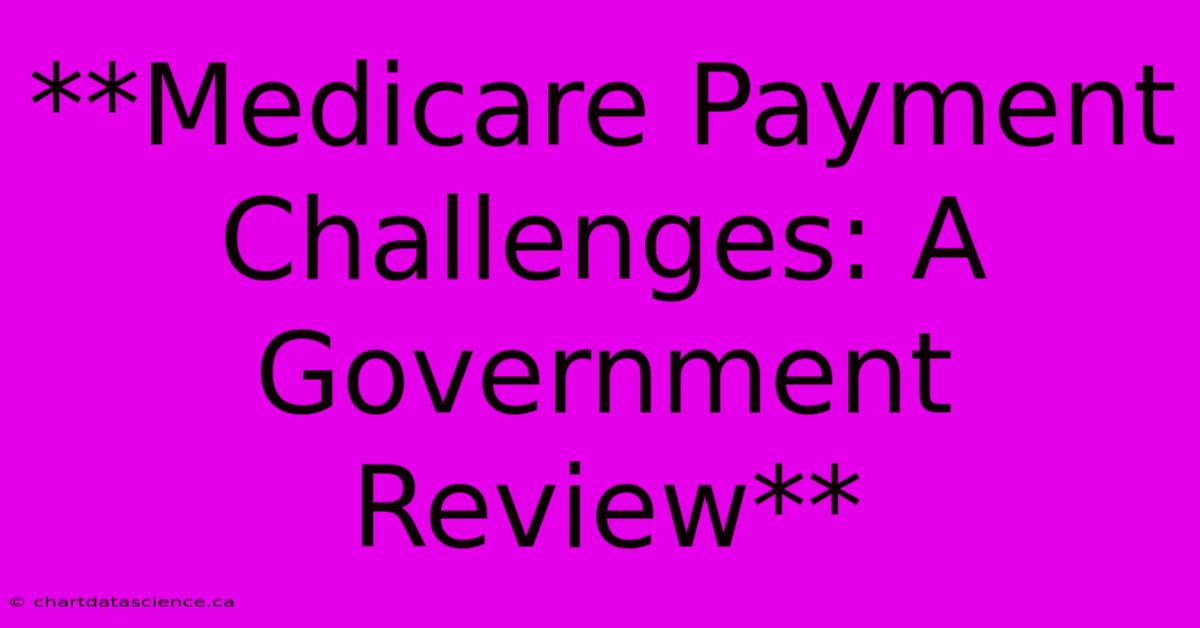 **Medicare Payment Challenges: A Government Review** 