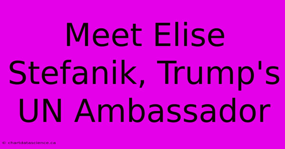 Meet Elise Stefanik, Trump's UN Ambassador 