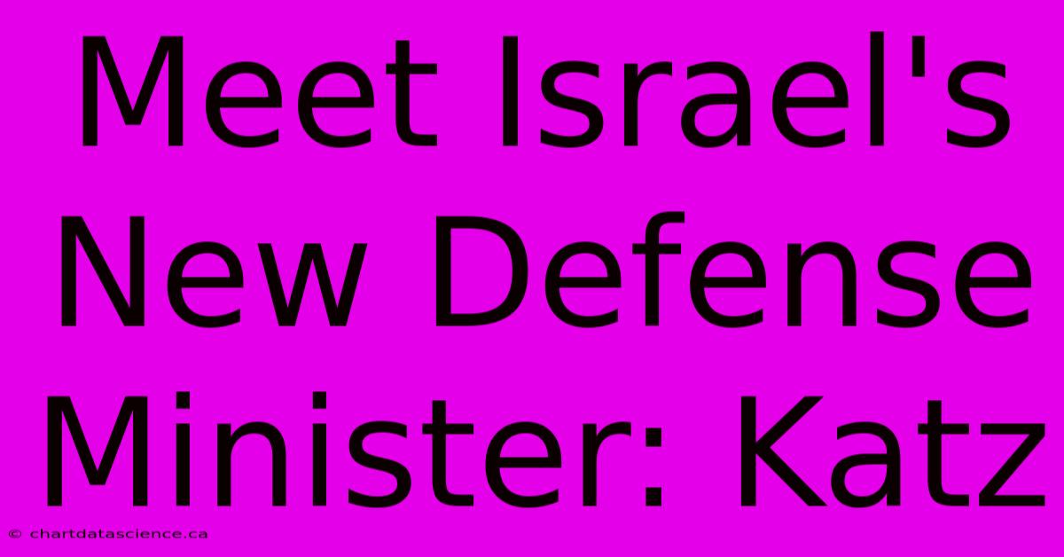 Meet Israel's New Defense Minister: Katz