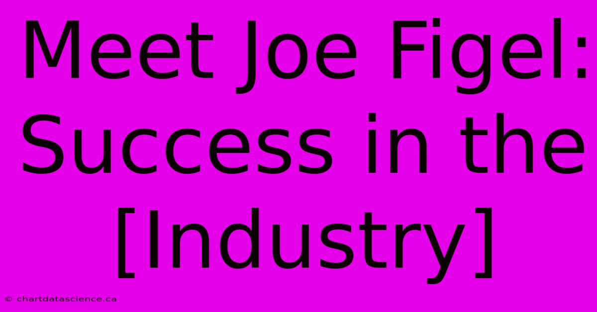 Meet Joe Figel: Success In The [Industry]