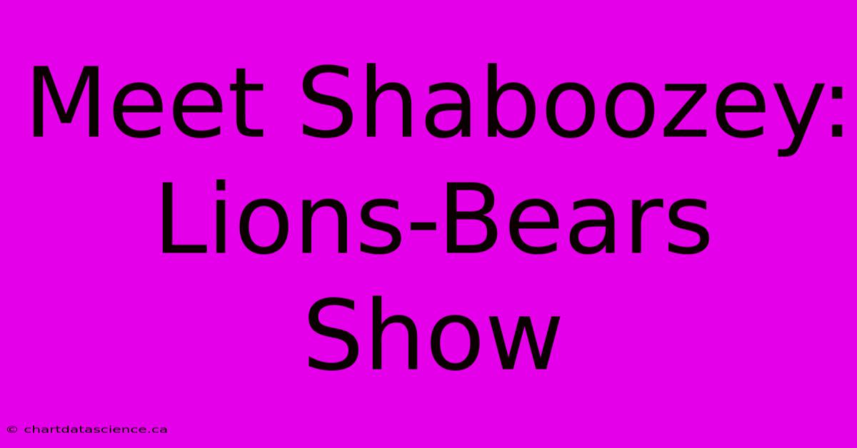 Meet Shaboozey: Lions-Bears Show