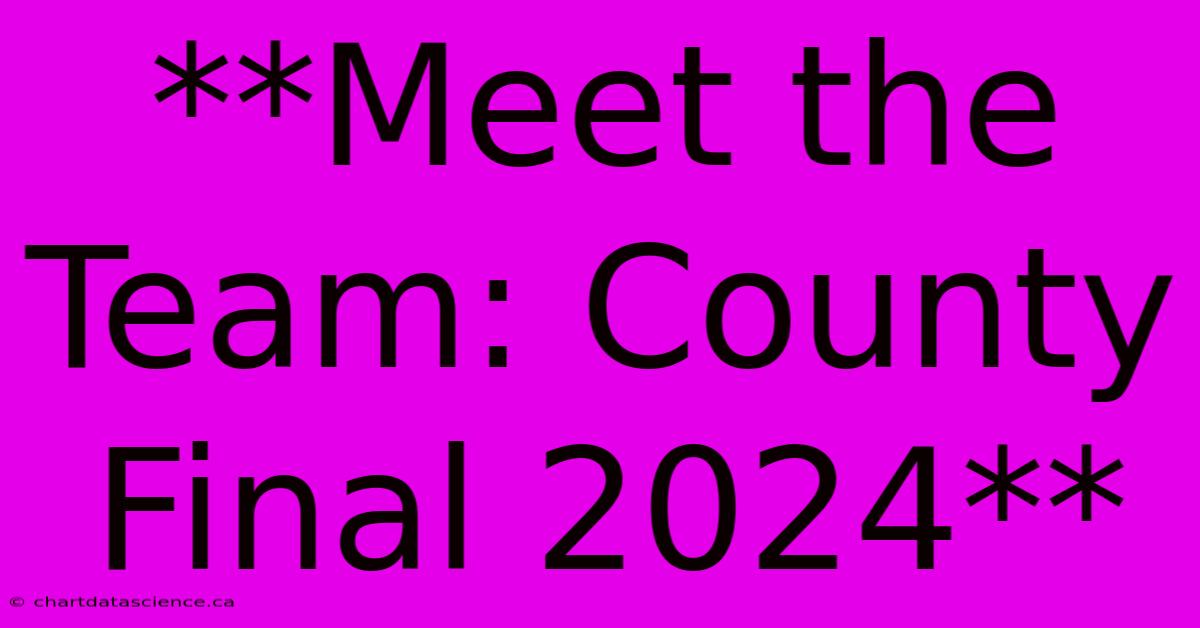 **Meet The Team: County Final 2024**