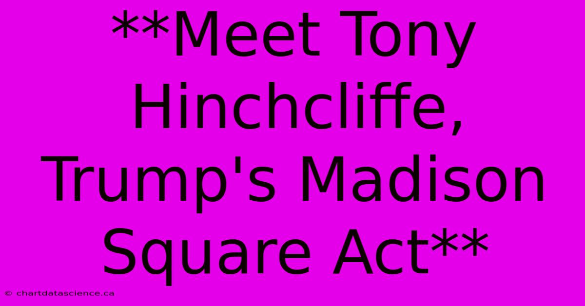 **Meet Tony Hinchcliffe, Trump's Madison Square Act**