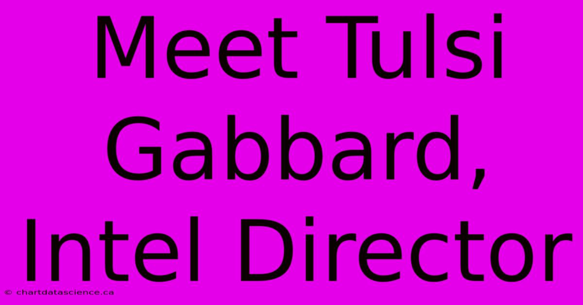 Meet Tulsi Gabbard, Intel Director