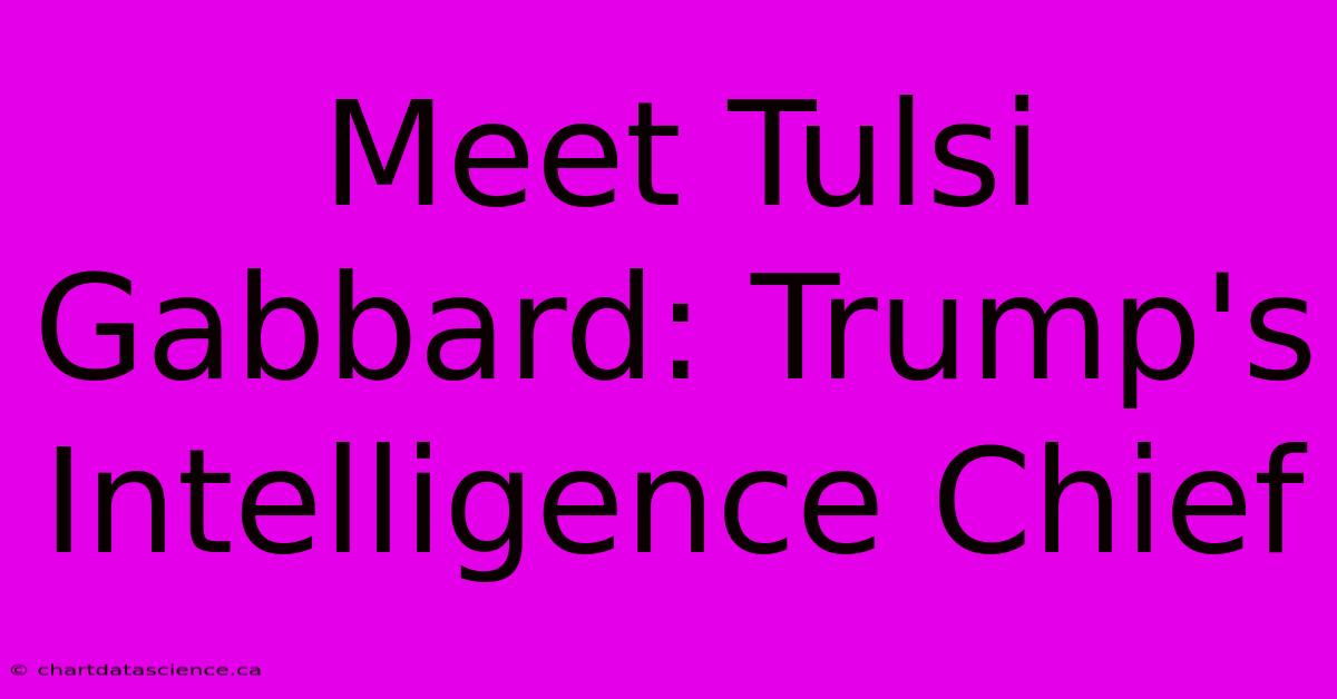 Meet Tulsi Gabbard: Trump's Intelligence Chief