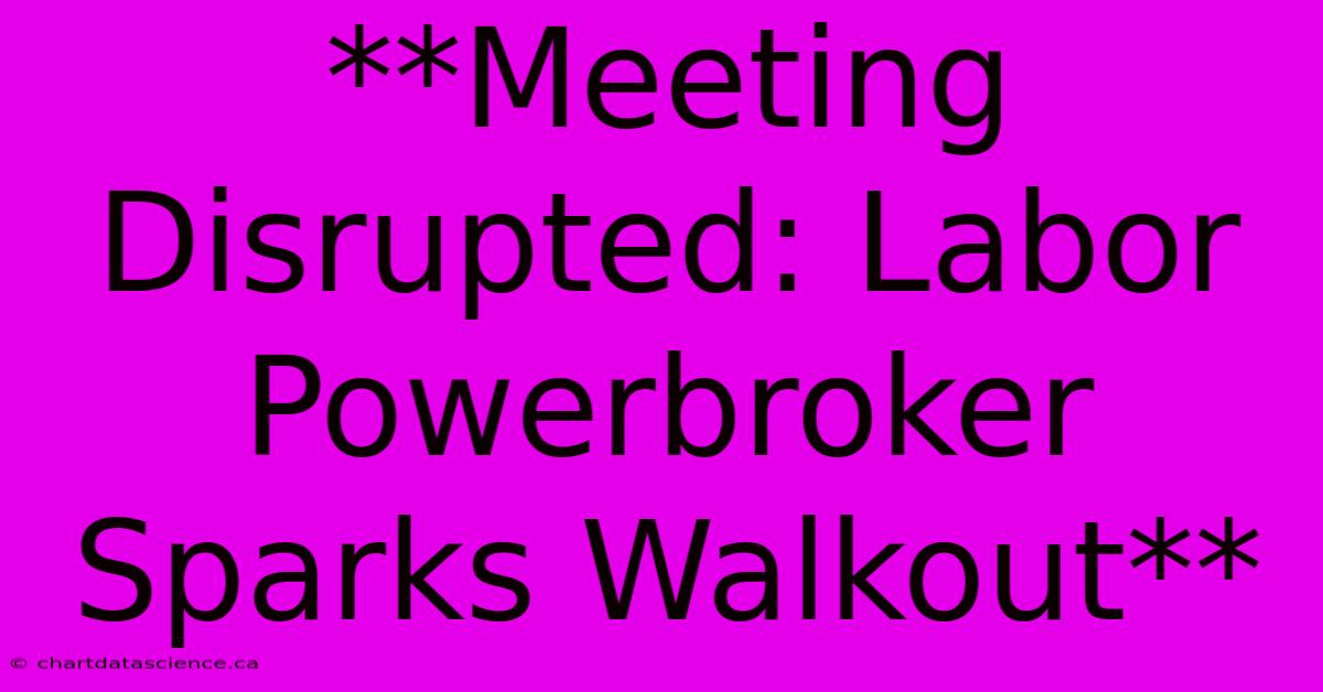 **Meeting Disrupted: Labor Powerbroker Sparks Walkout** 