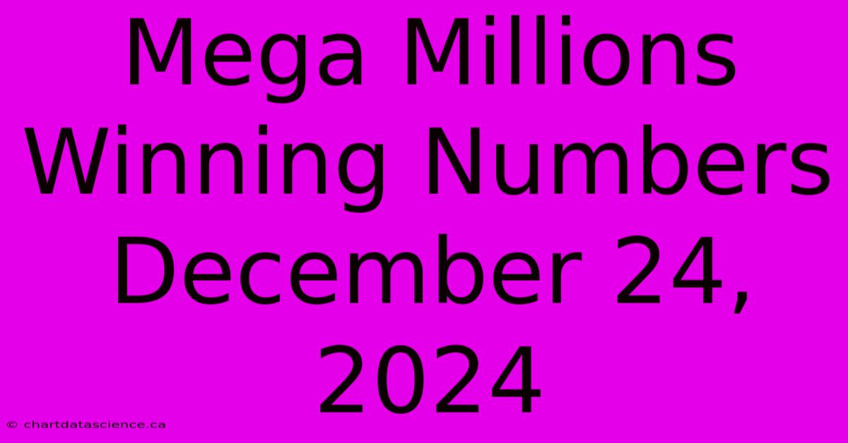 Mega Millions Winning Numbers December 24, 2024