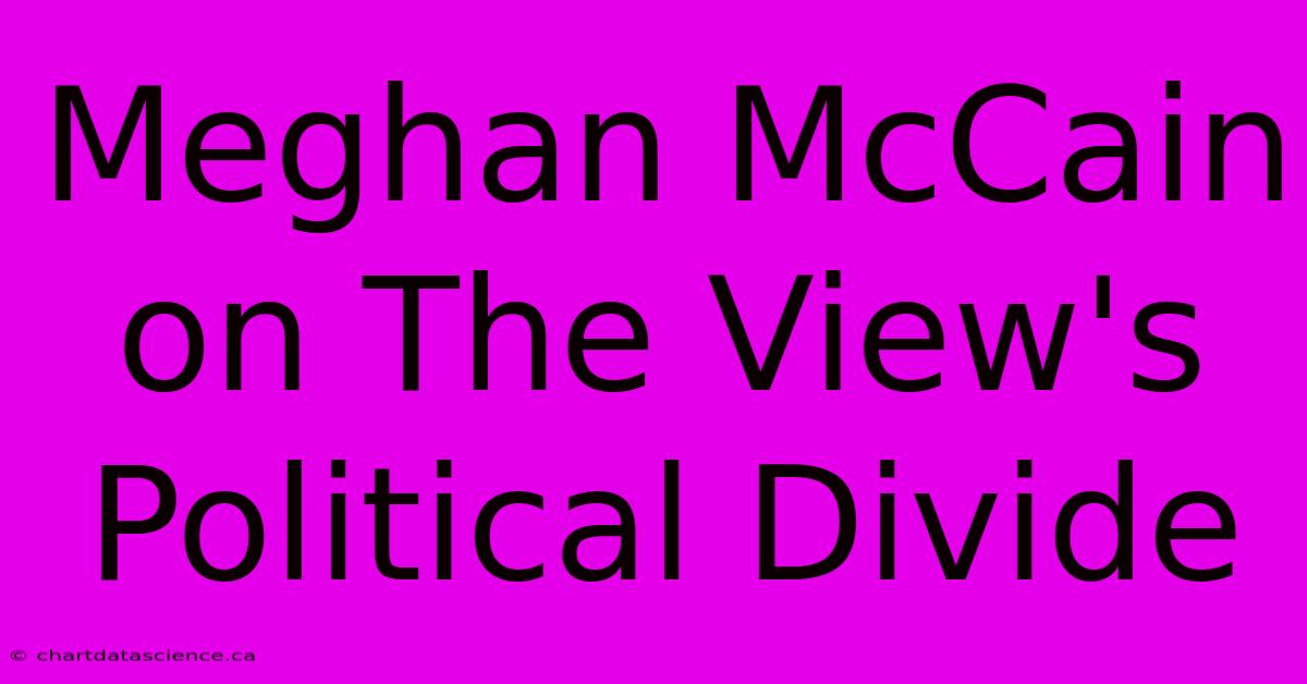 Meghan McCain On The View's Political Divide 