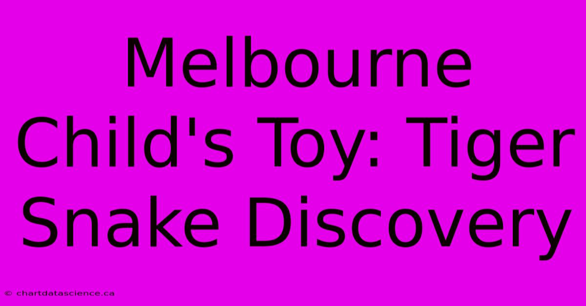 Melbourne Child's Toy: Tiger Snake Discovery