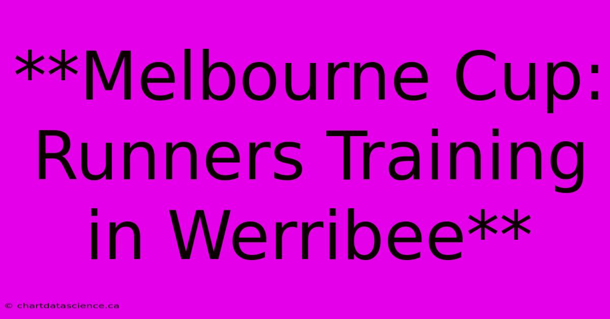 **Melbourne Cup: Runners Training In Werribee**