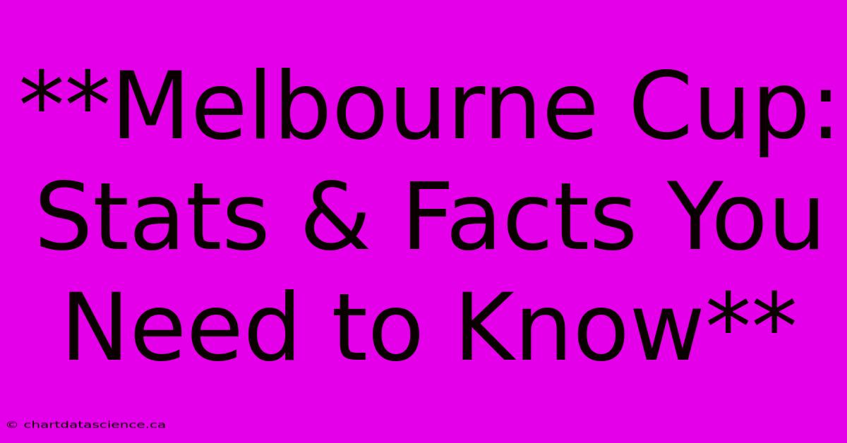 **Melbourne Cup: Stats & Facts You Need To Know** 