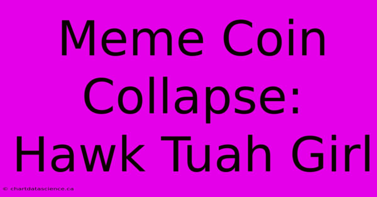 Meme Coin Collapse: Hawk Tuah Girl