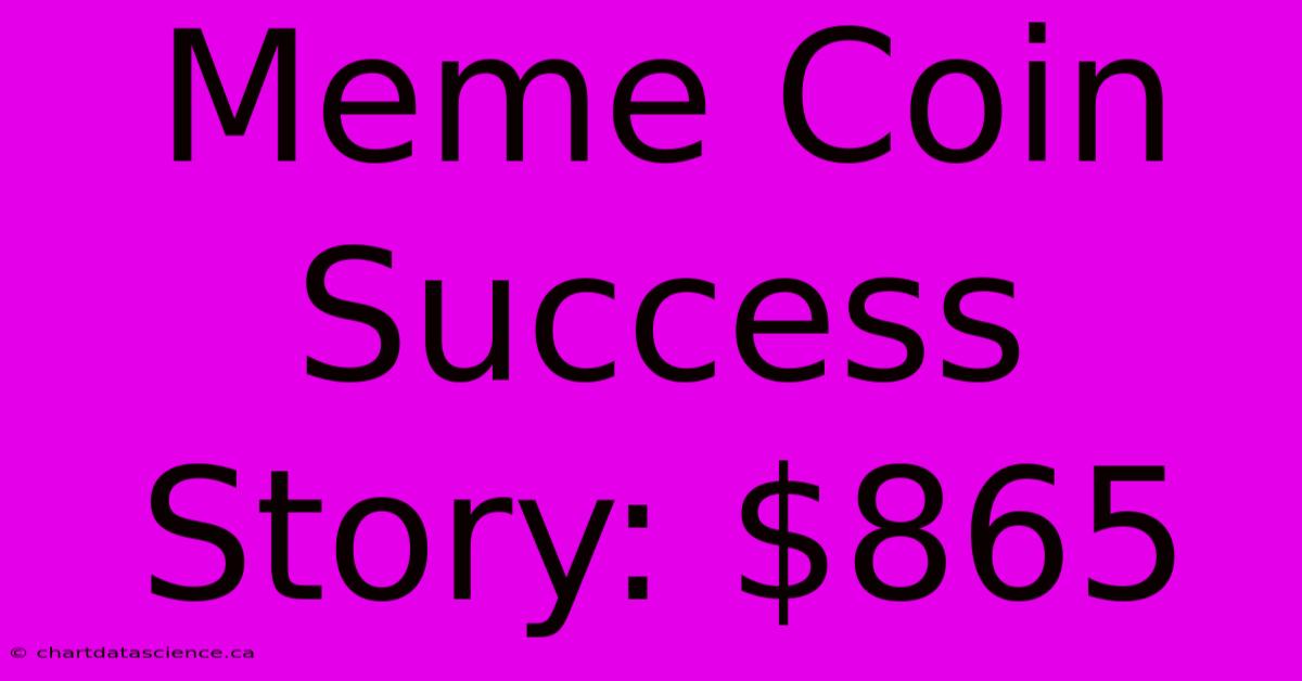 Meme Coin Success Story: $865