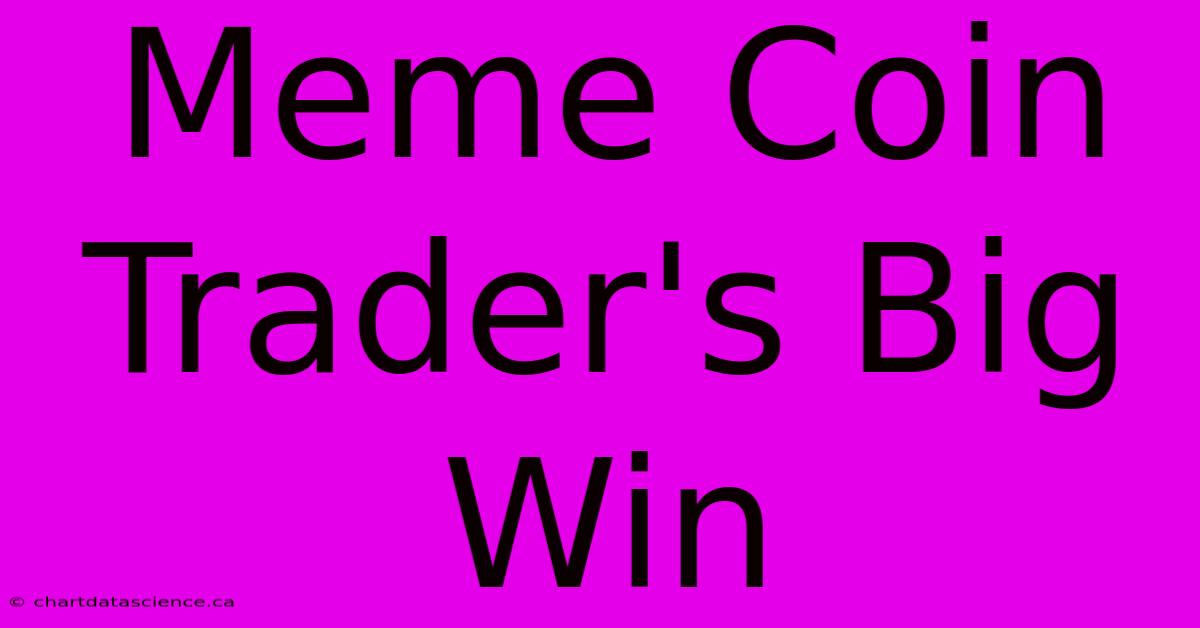 Meme Coin Trader's Big Win