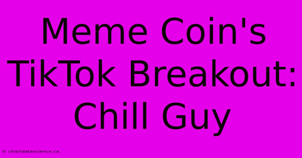 Meme Coin's TikTok Breakout: Chill Guy