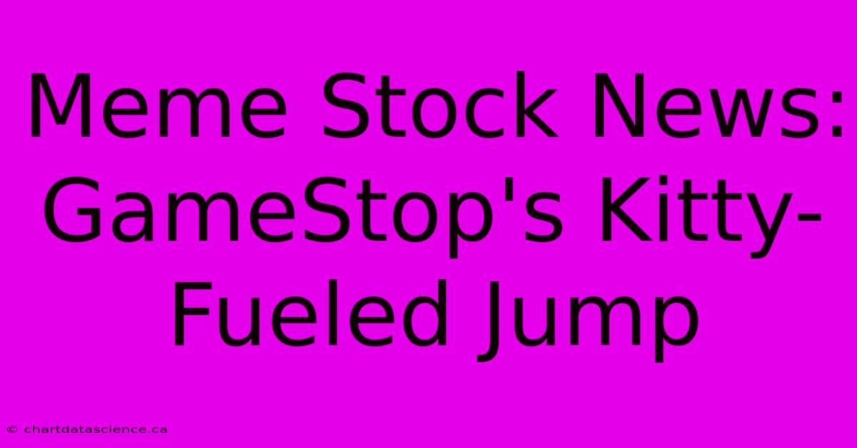 Meme Stock News: GameStop's Kitty-Fueled Jump