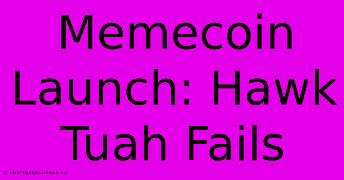 Memecoin Launch: Hawk Tuah Fails