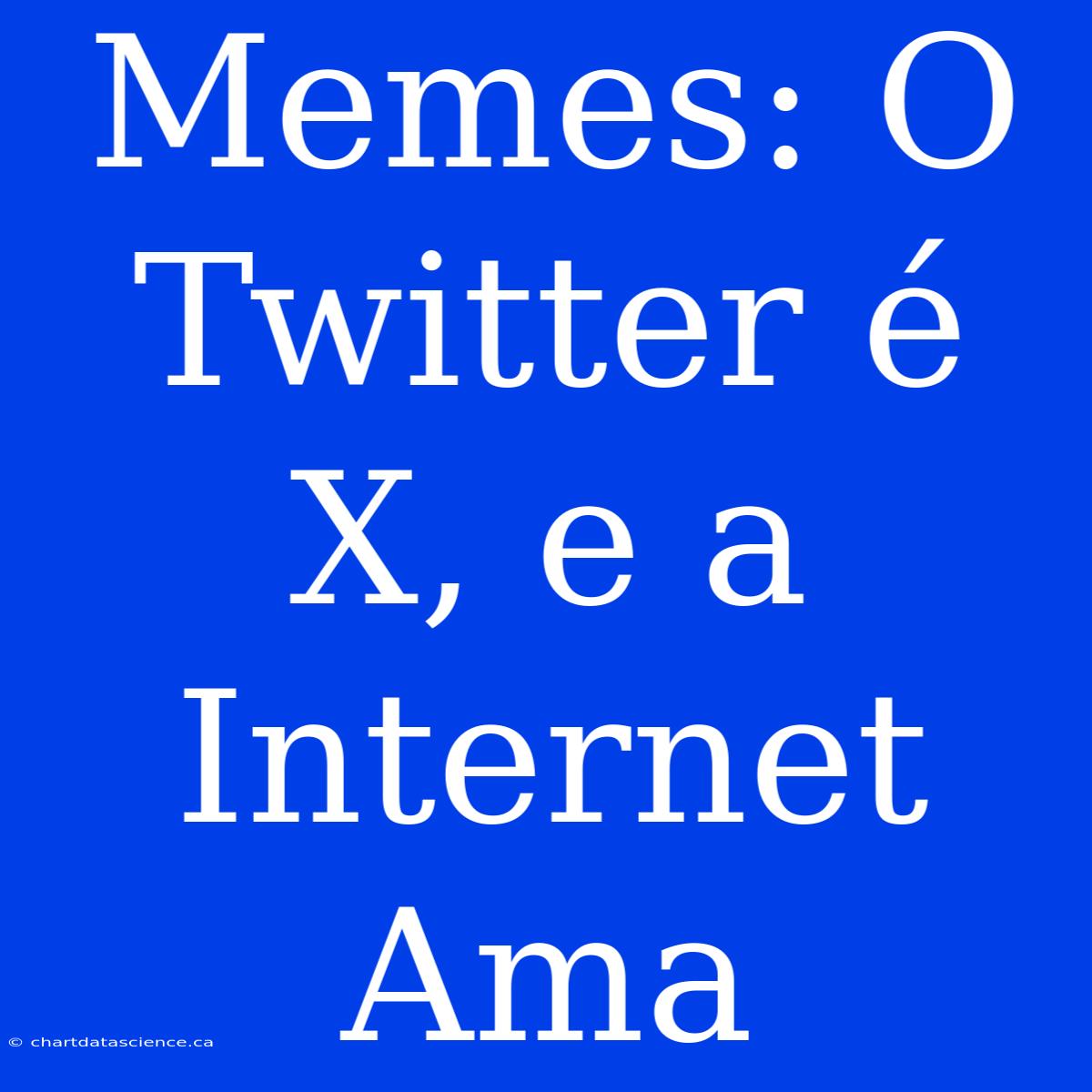 Memes: O Twitter É X, E A Internet Ama