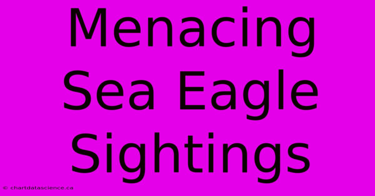 Menacing Sea Eagle Sightings