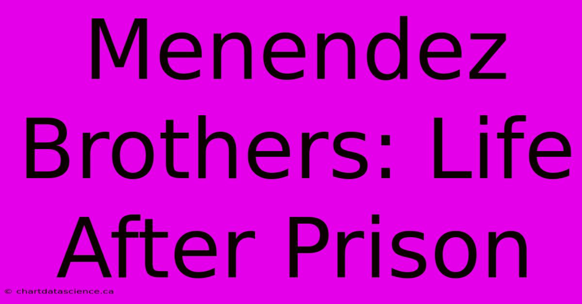 Menendez Brothers: Life After Prison