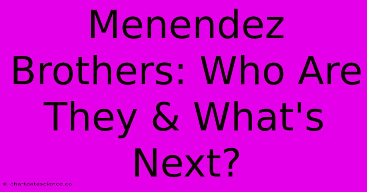 Menendez Brothers: Who Are They & What's Next?