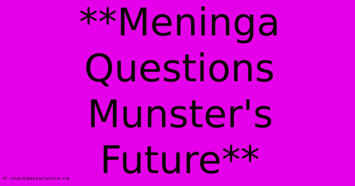 **Meninga Questions Munster's Future**