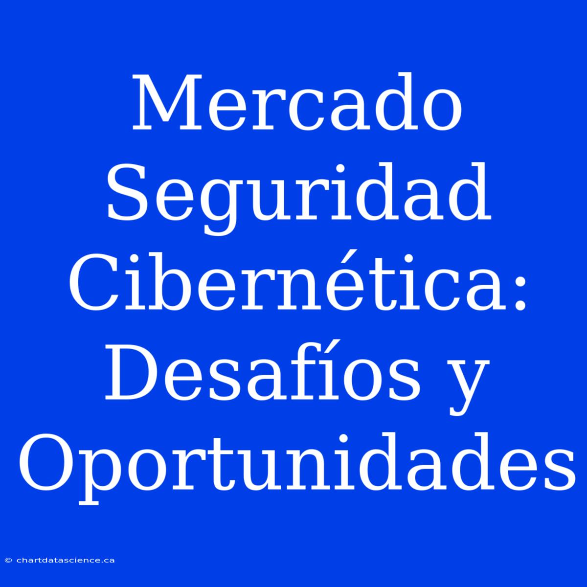 Mercado Seguridad Cibernética: Desafíos Y Oportunidades