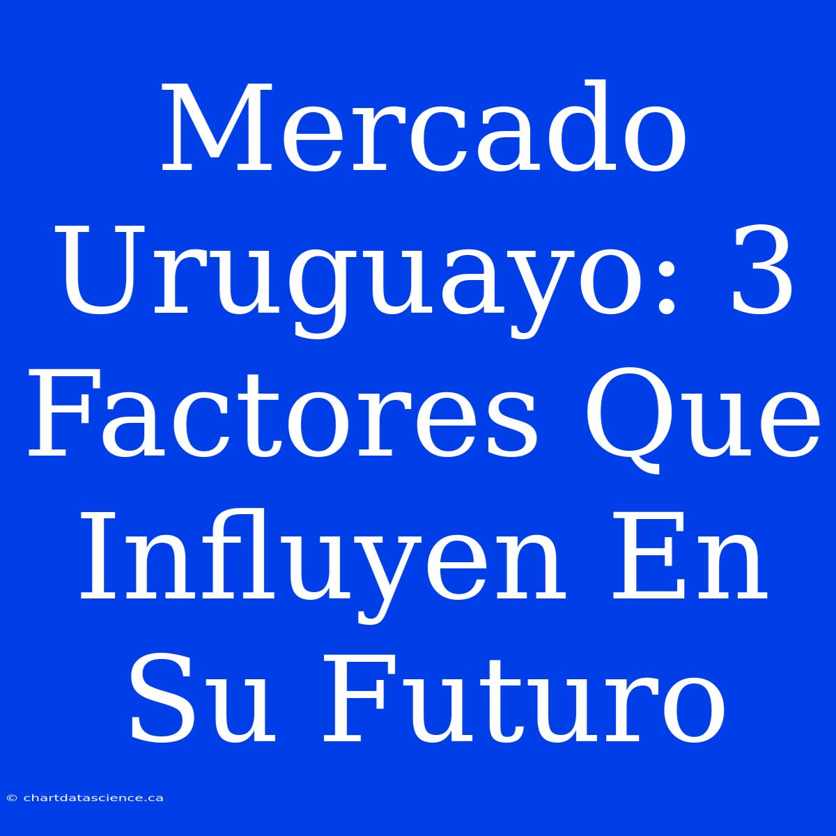 Mercado Uruguayo: 3 Factores Que Influyen En Su Futuro