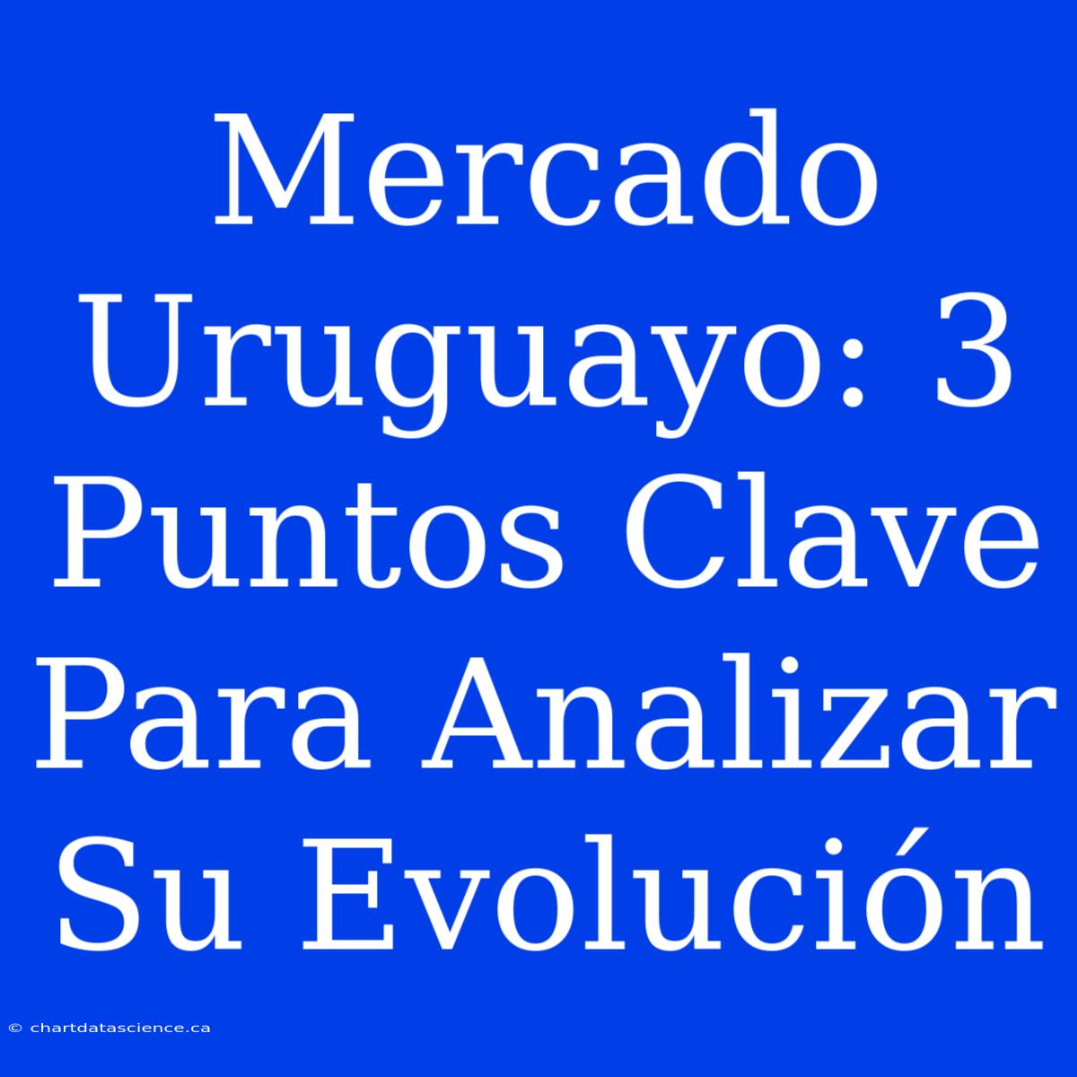 Mercado Uruguayo: 3 Puntos Clave Para Analizar Su Evolución