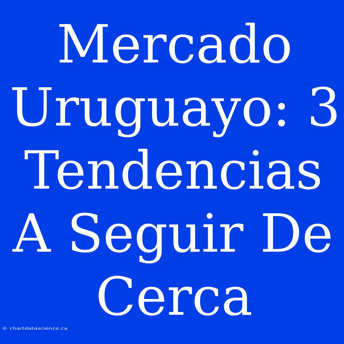 Mercado Uruguayo: 3 Tendencias A Seguir De Cerca