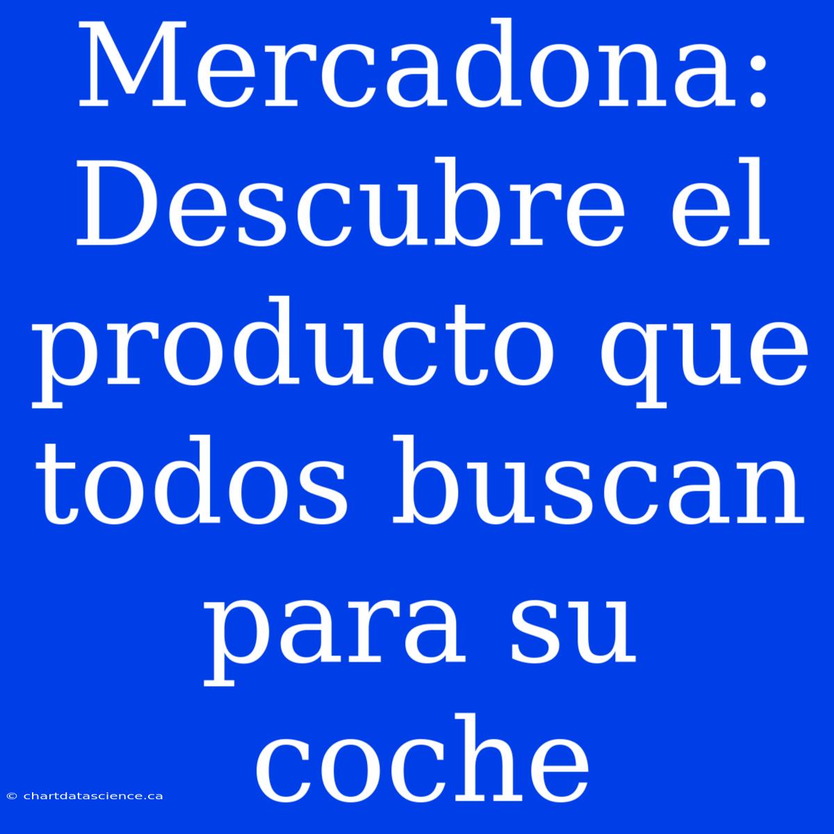 Mercadona: Descubre El Producto Que Todos Buscan Para Su Coche