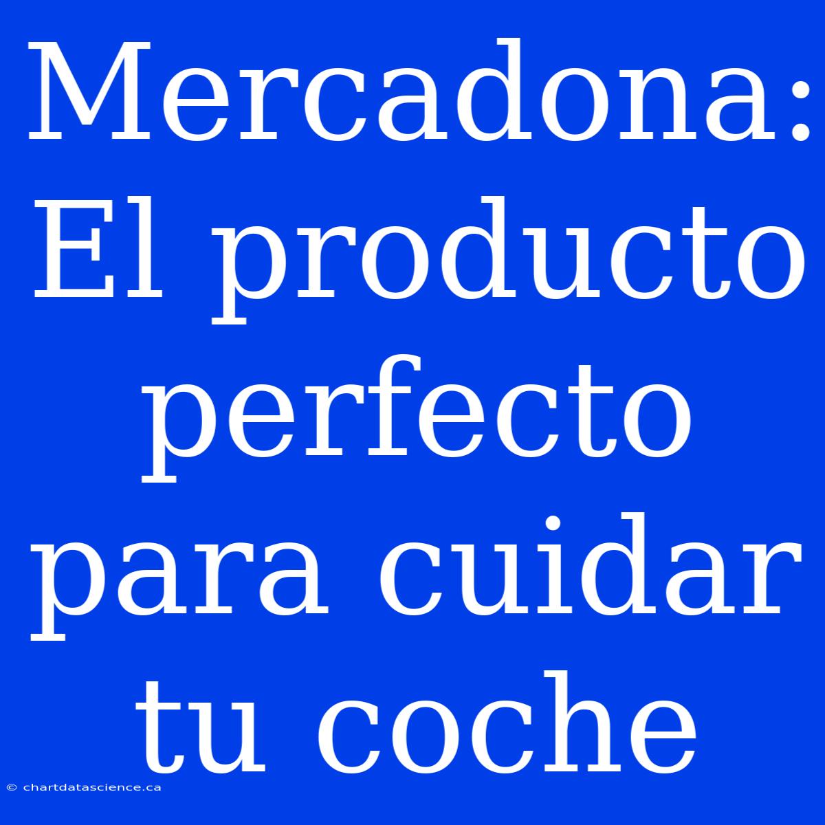 Mercadona: El Producto Perfecto Para Cuidar Tu Coche