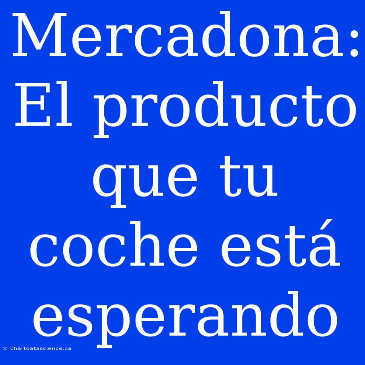 Mercadona: El Producto Que Tu Coche Está Esperando