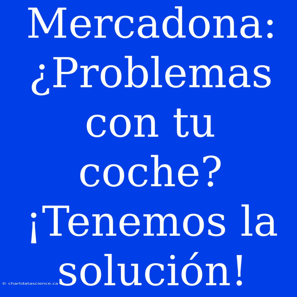 Mercadona: ¿Problemas Con Tu Coche? ¡Tenemos La Solución!