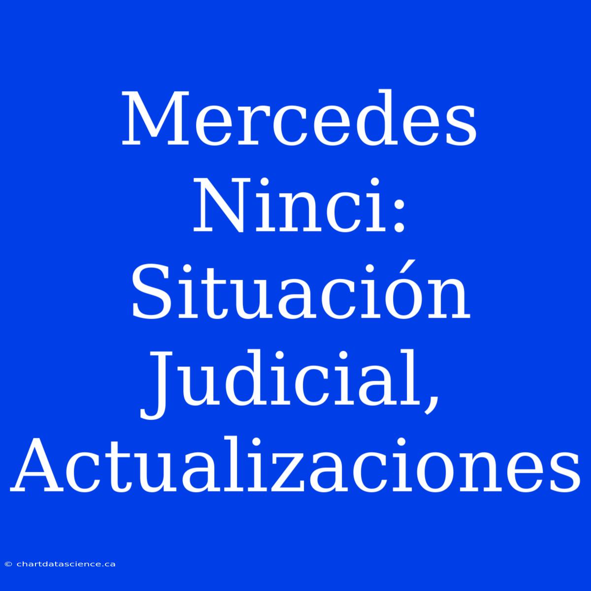 Mercedes Ninci: Situación Judicial, Actualizaciones