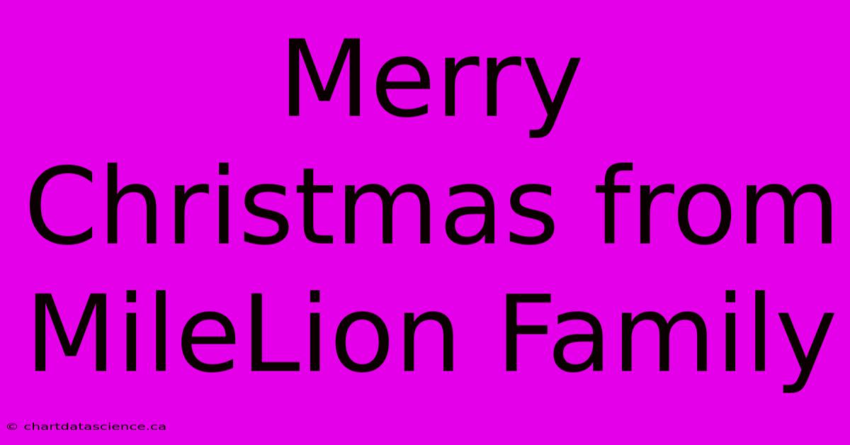 Merry Christmas From MileLion Family