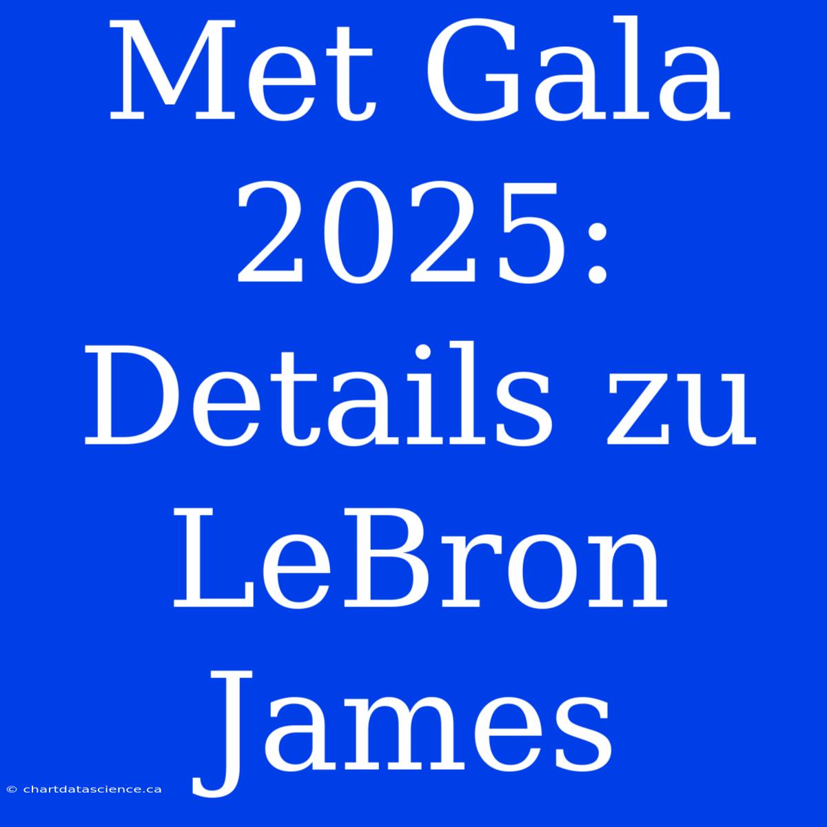 Met Gala 2025: Details Zu LeBron James