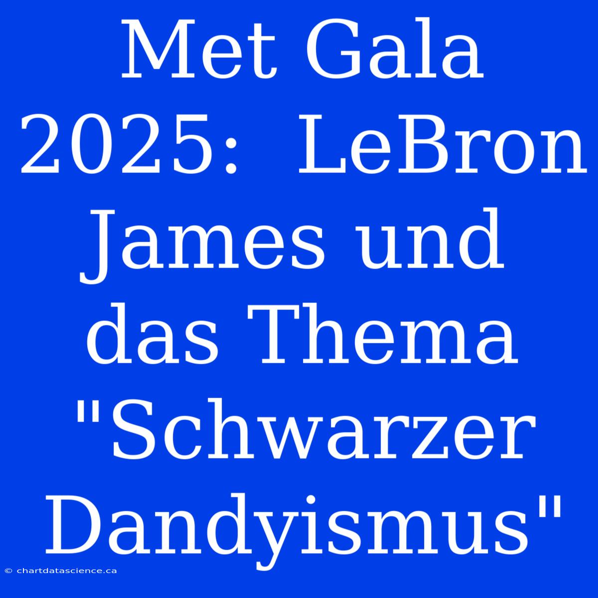 Met Gala 2025:  LeBron James Und Das Thema 