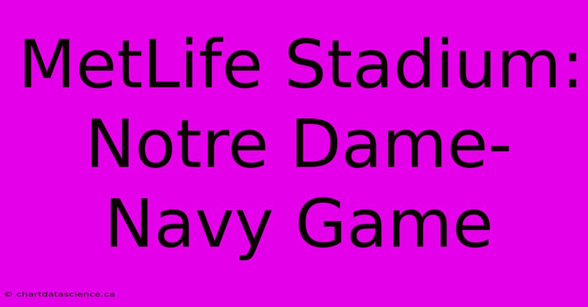 MetLife Stadium: Notre Dame-Navy Game